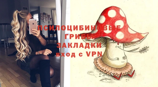2c-b Белокуриха