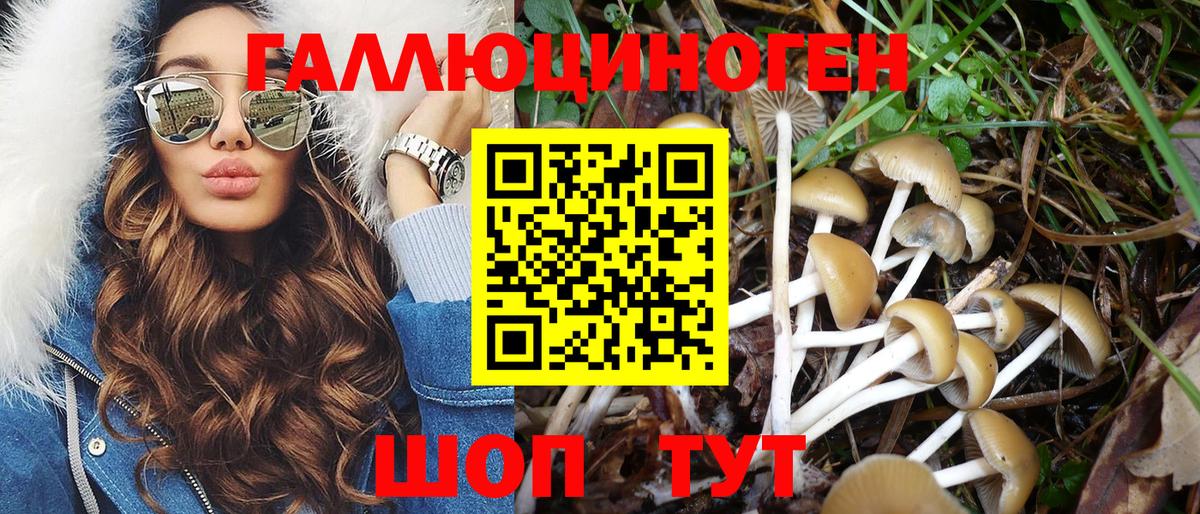 Маркс  Галлюциногенные грибы Cubensis  Галлюциногенные грибы ЛСД  Вход с VPN 