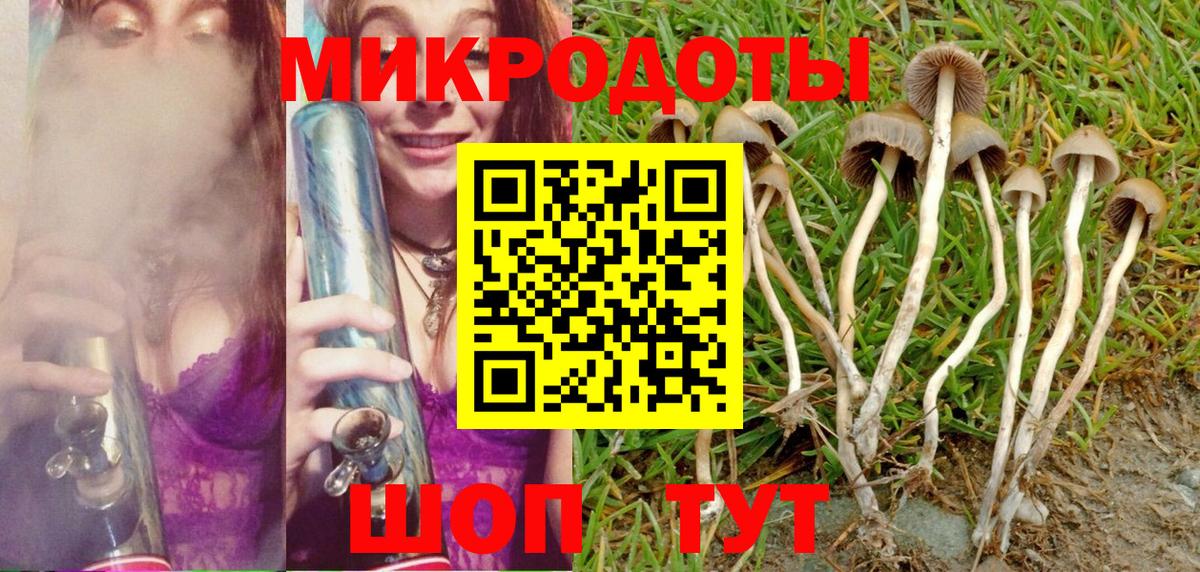 Галлюциногенные грибы Psilocybe Маркс