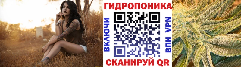 omg как войти  Маркс  мориарти Telegram  Шишки марихуана AK-47 