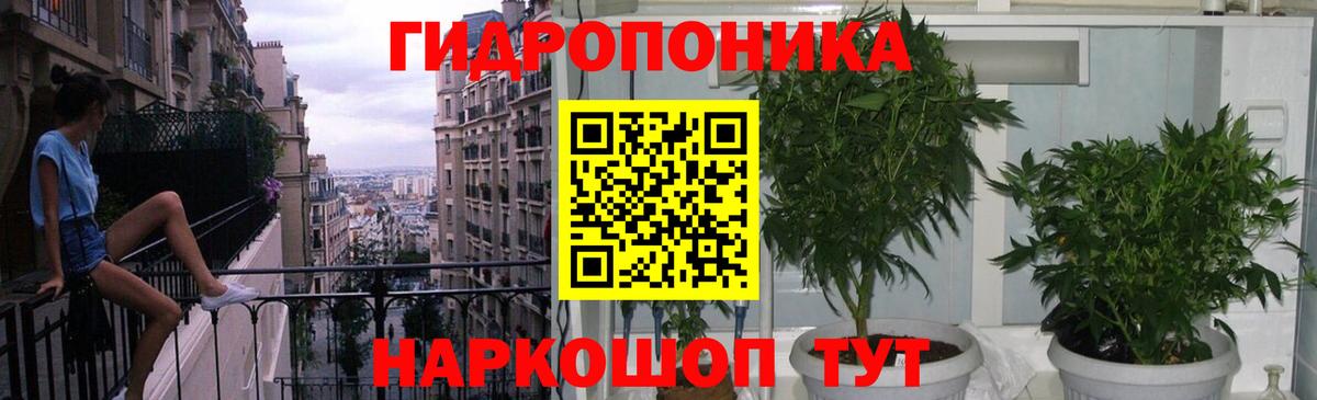 Бошки Шишки Bruce Banner Маркс